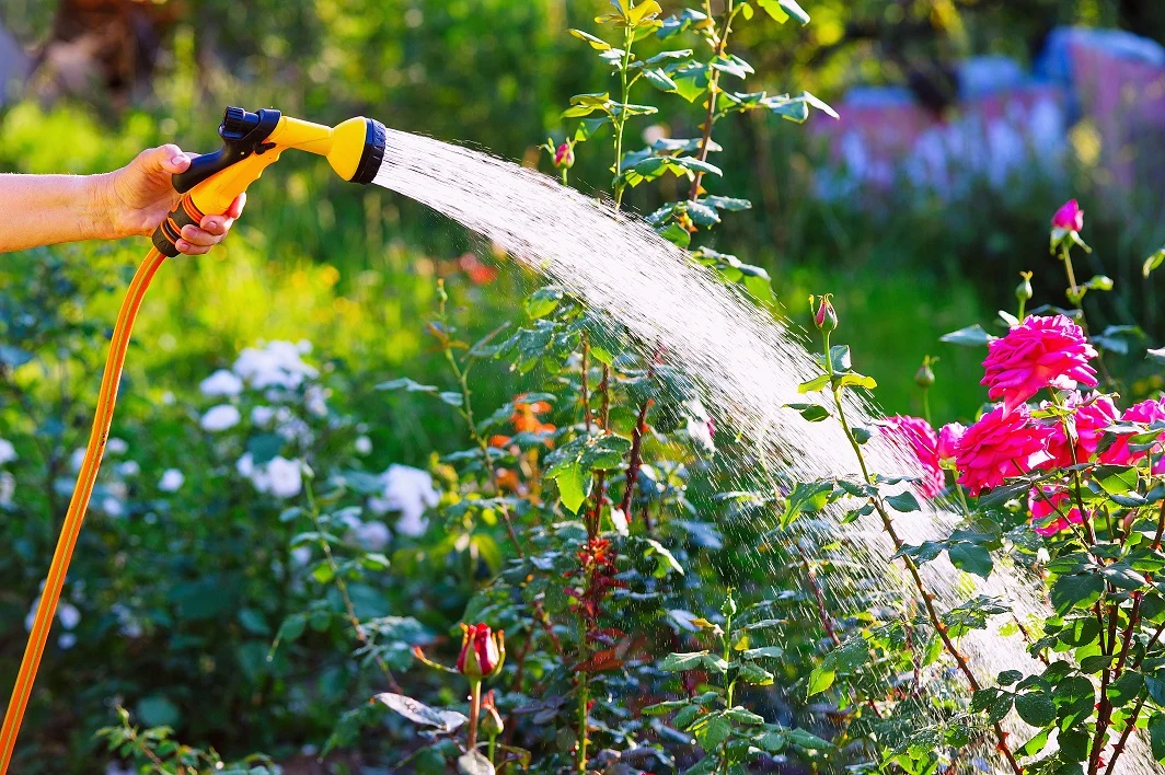 Watering garden